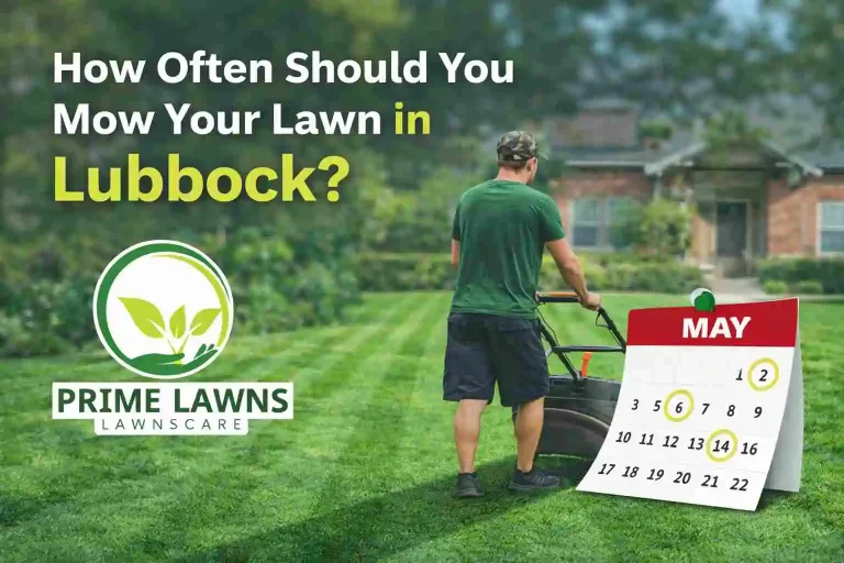How Often Should You Mow Your Lawn in Lubbock?