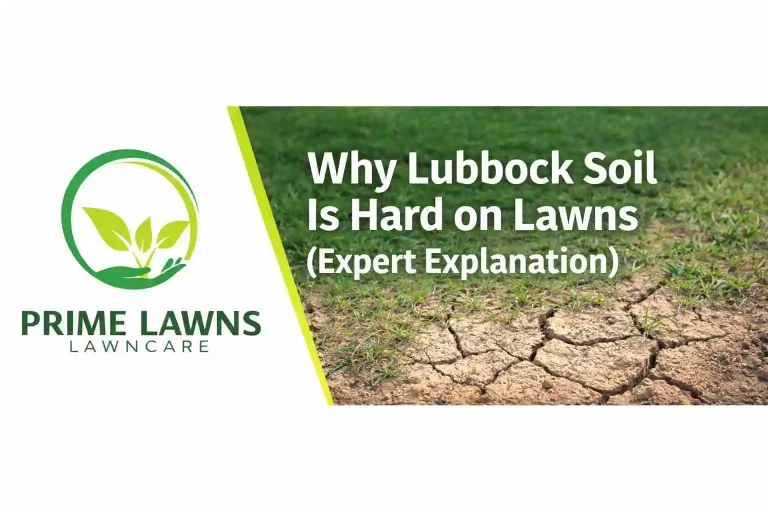 Why Lubbock Soil Is Hard on Lawns (Expert Explanation)