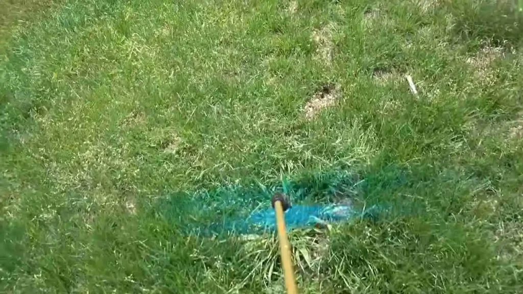 Control Weeds Before They Take Over