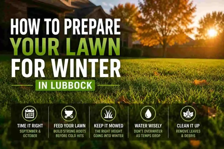 How to Prepare Your Lawn for Winter in Lubbock