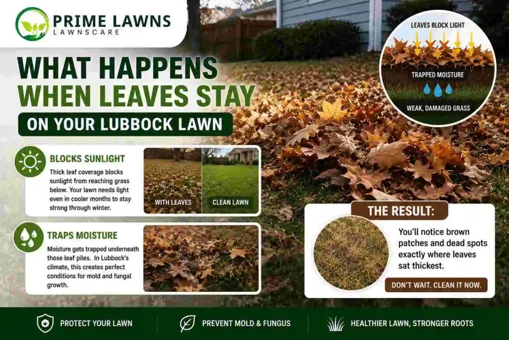 What Happens When Leaves Stay on Your Lubbock Lawn